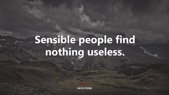 Sensible people find nothing useless. | Jean de La Fontaine quote