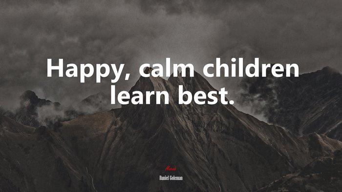 Happy, calm children learn best. | Daniel Goleman quote