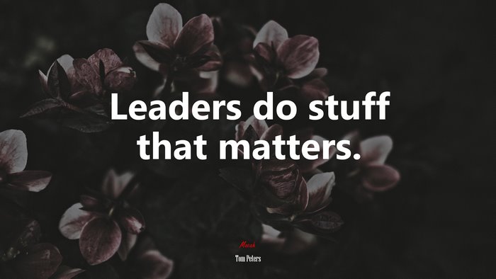 Leaders do stuff that matters. | Tom Peters quote