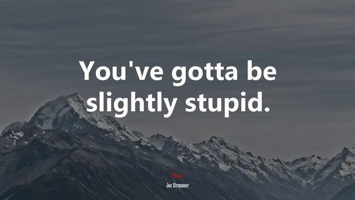 You’ve gotta be slightly stupid. | Joe Strummer quote