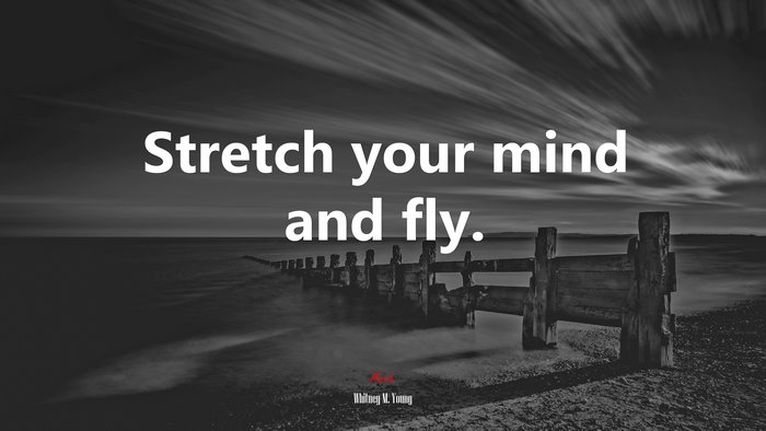 Stretch your mind and fly. | Whitney M. Young quote
