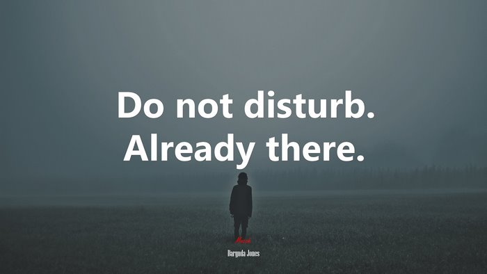 Do not disturb. Already there. | Darynda Jones quote