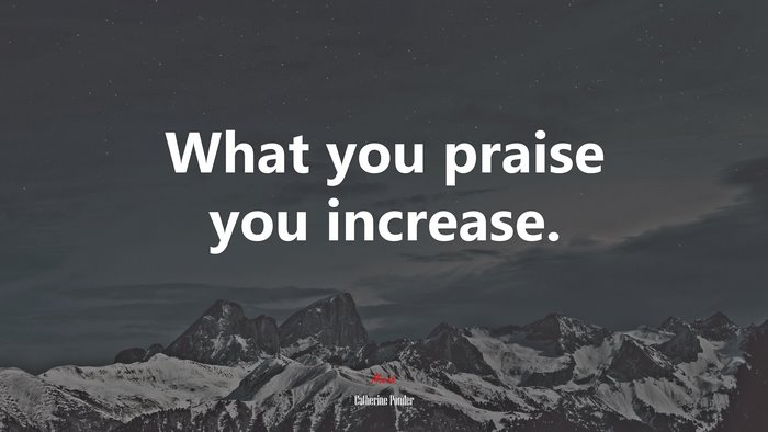 What you praise you increase. | Catherine Ponder quote