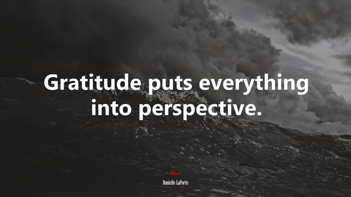 Gratitude puts everything into perspective. | Danielle LaPorte quote