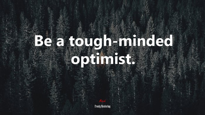 Be a tough-minded optimist. | Frosty Westering quote
