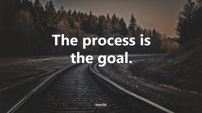 The process is the goal. | Geneen Roth quote
