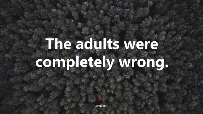 The adults were completely wrong. | Aaron Swartz quote