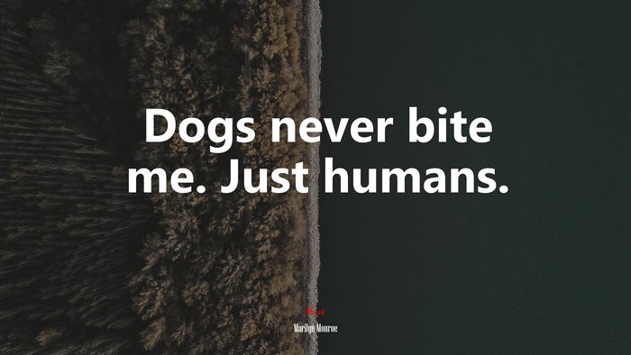 Dogs never bite me. Just humans. | Marilyn Monroe quote