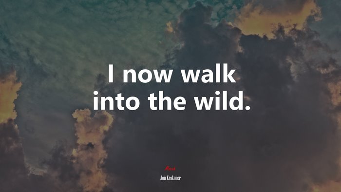 I now walk into the wild. | Jon Krakauer quote