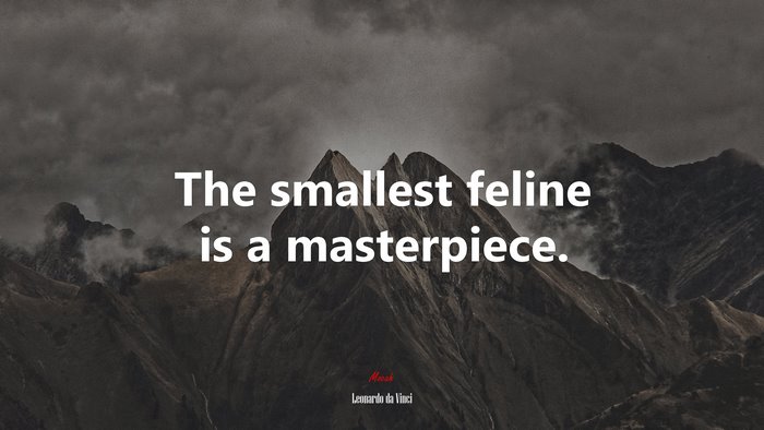 The smallest feline is a masterpiece. | Leonardo da Vinci quote