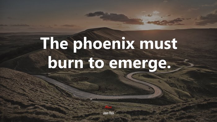 The phoenix must burn to emerge. | Janet Fitch quote