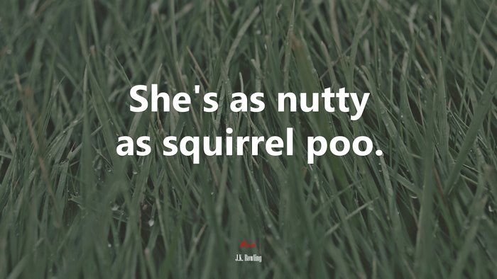 She’s as nutty as squirrel poo. | J.K. Rowling quote