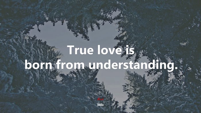 True love is born from understanding. | Buddha quote