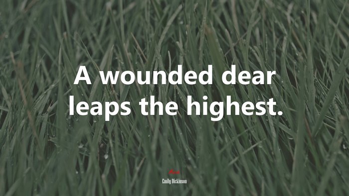 A wounded dear leaps the highest. | Emily Dickinson quote