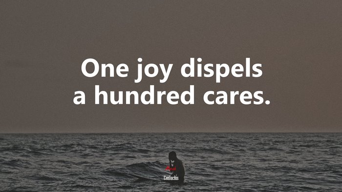 One joy dispels a hundred cares. | Confucius quote