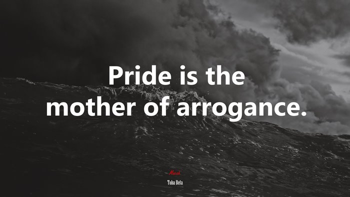 Pride is the mother of arrogance. | Toba Beta quote