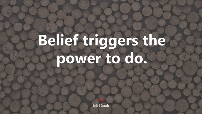 Belief triggers the power to do. | David J. Schwartz quote