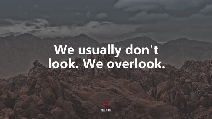 We usually don’t look. We overlook. | Alan Watts quote