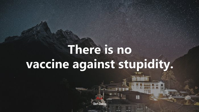 There is no vaccine against stupidity. | Albert Einstein quote