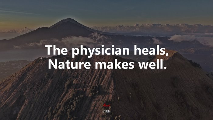 The physician heals, Nature makes well. | Aristotle quote