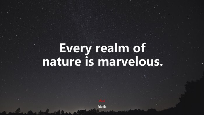 Every realm of nature is marvelous. | Aristotle quote
