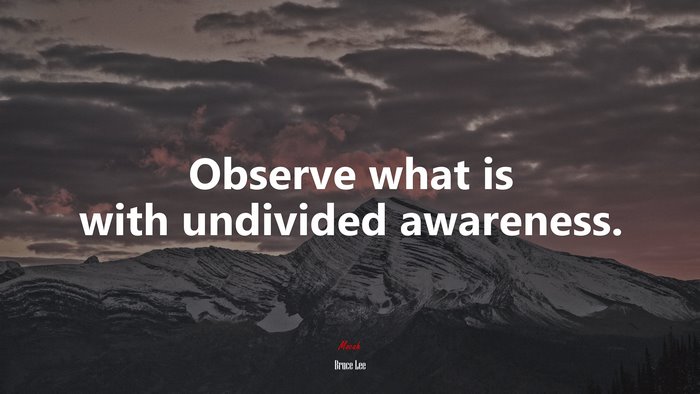 Observe what is with undivided awareness. | Bruce Lee quote