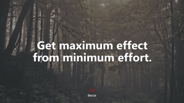 Get maximum effect from minimum effort. | Bruce Lee quote