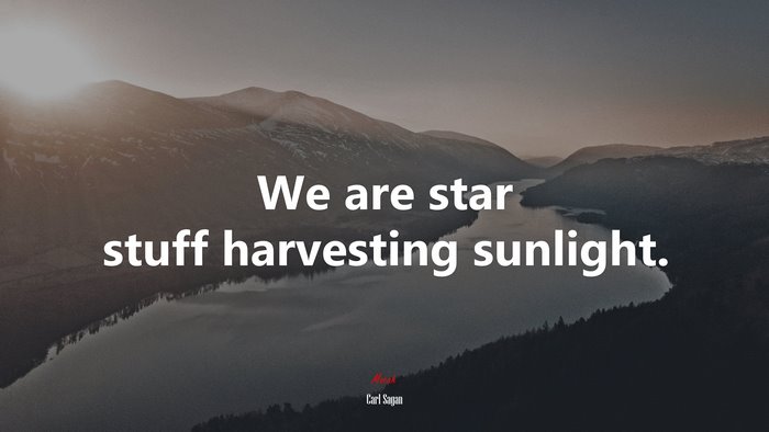 We are star stuff harvesting sunlight. | Carl Sagan quote