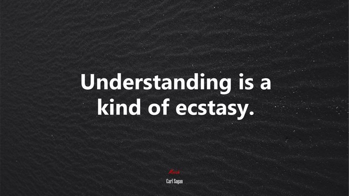 Understanding is a kind of ecstasy. | Carl Sagan quote