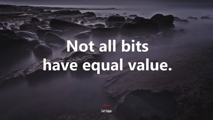 Not all bits have equal value. | Carl Sagan quote