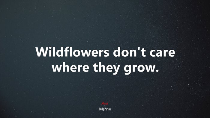 Wildflowers don’t care where they grow. | Dolly Parton quote