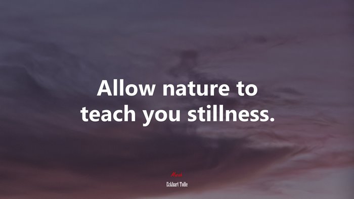 Allow nature to teach you stillness. | Eckhart Tolle quote
