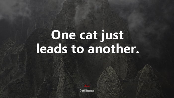 One cat just leads to another. | Ernest Hemingway quote