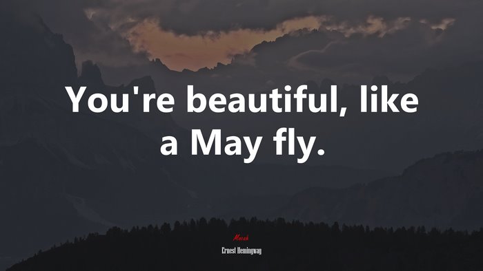 You’re beautiful, like a May fly. | Ernest Hemingway quote