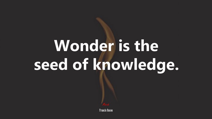 Wonder is the seed of knowledge. | Francis Bacon quote