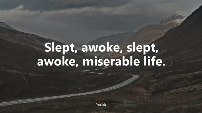 Slept, awoke, slept, awoke, miserable life. | Franz Kafka quote