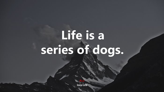Life is a series of dogs. | George Carlin quote
