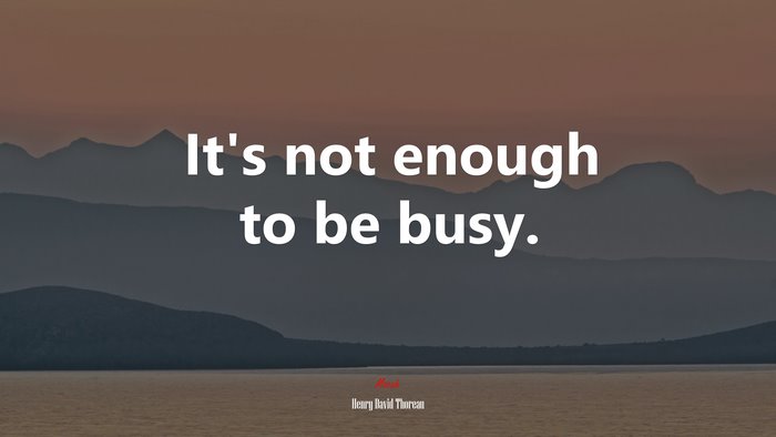 It’s not enough to be busy. | Henry David Thoreau quote