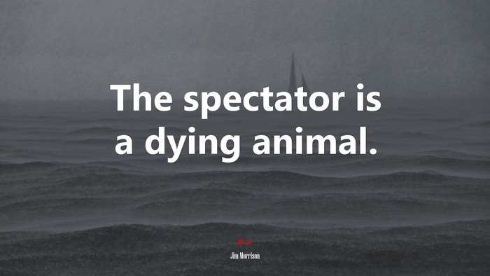 The spectator is a dying animal. | Jim Morrison quote