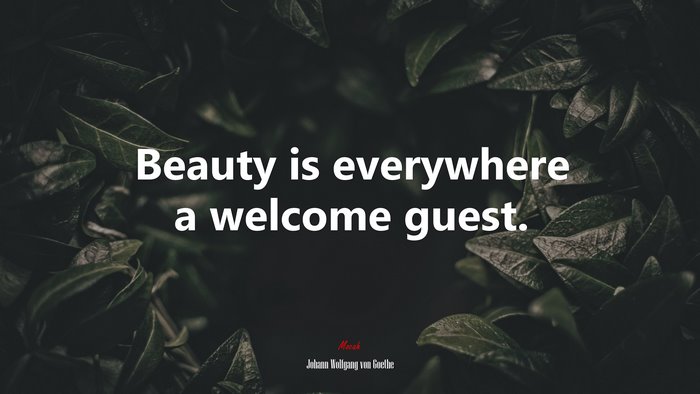Beauty is everywhere a welcome guest. | Johann Wolfgang von Goethe quote