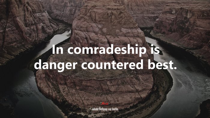 In comradeship is danger countered best. | Johann Wolfgang von Goethe quote