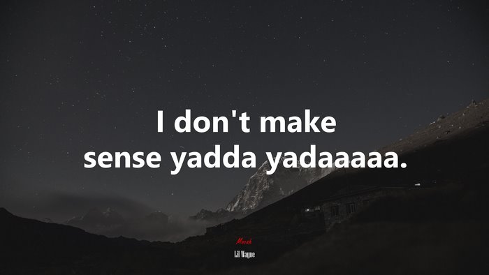 I don’t make sense yadda yadaaaaa. | Lil Wayne quote