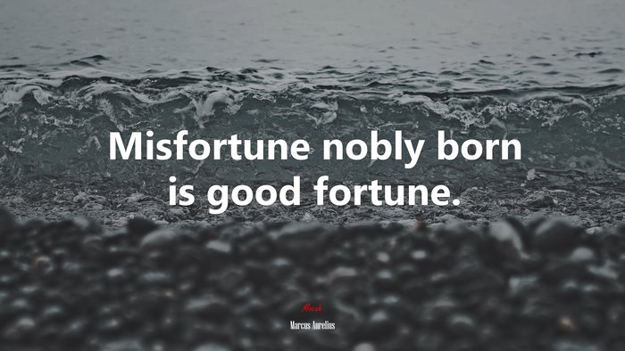Misfortune nobly born is good fortune. | Marcus Aurelius quote