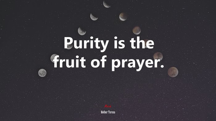 Purity is the fruit of prayer. | Mother Teresa quote