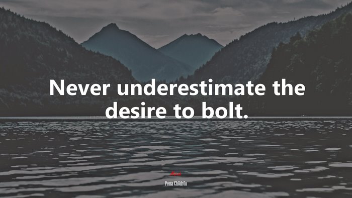 Never underestimate the desire to bolt. | Pema Chödrön quote