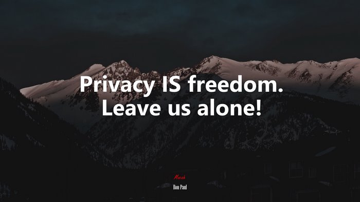 Privacy IS freedom. Leave us alone! | Ron Paul quote