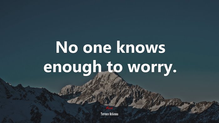 No one knows enough to worry. | Terence McKenna quote