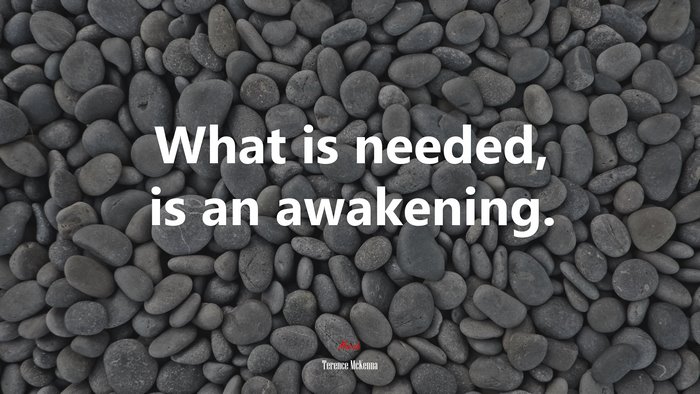 What is needed, is an awakening. | Terence McKenna quote