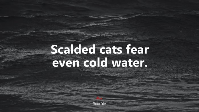 Scalded cats fear even cold water. | Thomas Fuller quote