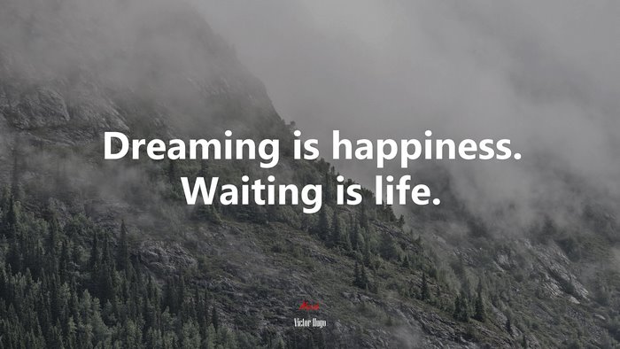 Dreaming is happiness. Waiting is life. | Victor Hugo quote